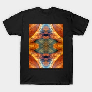 Wood Grain Design by Adelaide Artist Avril Thomas T-Shirt